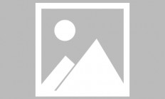 米兰体育app-关于迈凯伦鏖战红牛二队，诺里斯关键制胜的信息